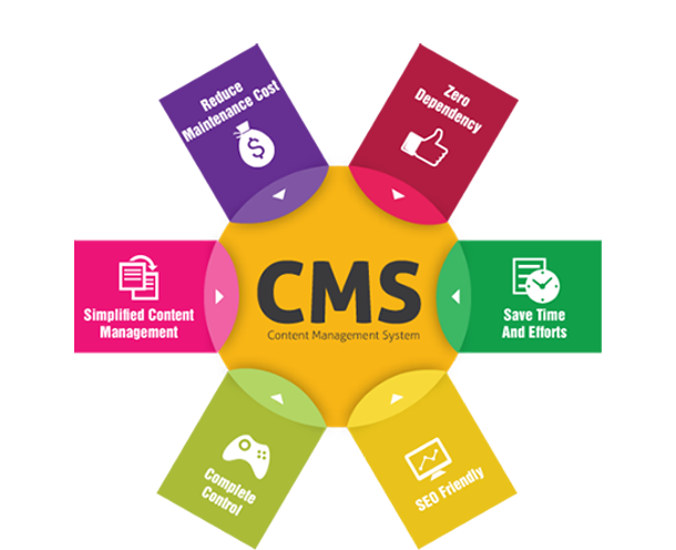 CMS Development Company in USA